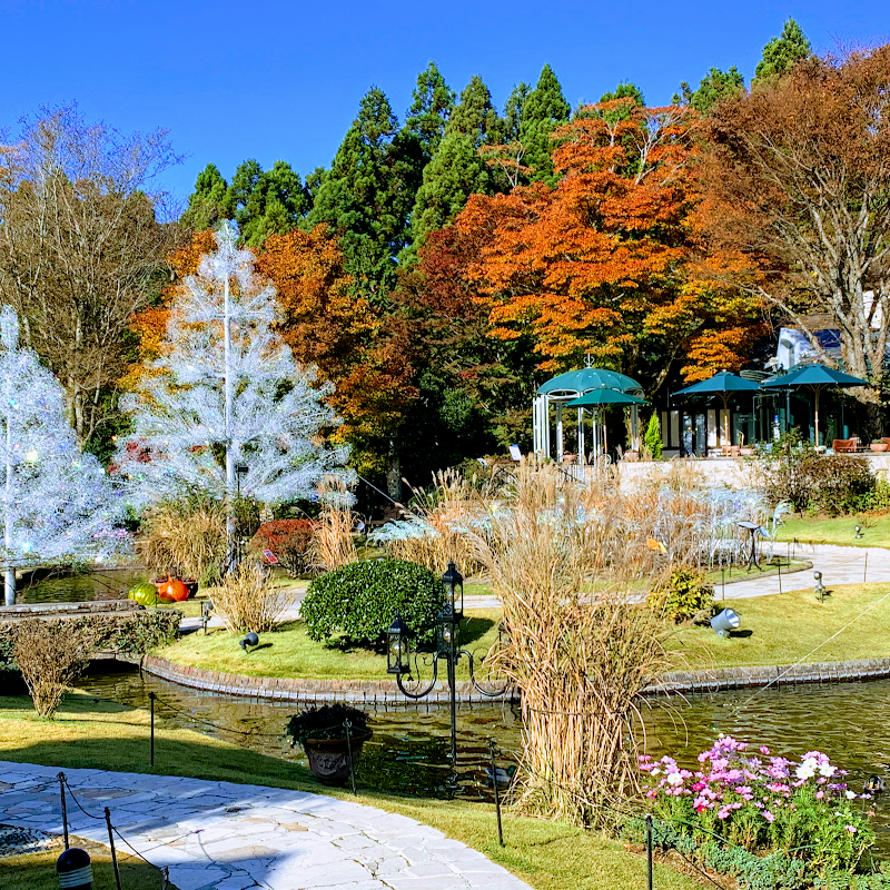 Asante Inn - Asante Inn 167-10 Miyagino, Hakone, Ashigarashimo District, Kanagawa 250-0401, Japan