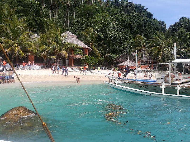 Apo Island Beach Resort - Apo Island Beach Resort, Apo Island, Dauin, 6217 Negros Oriental, Philippines
