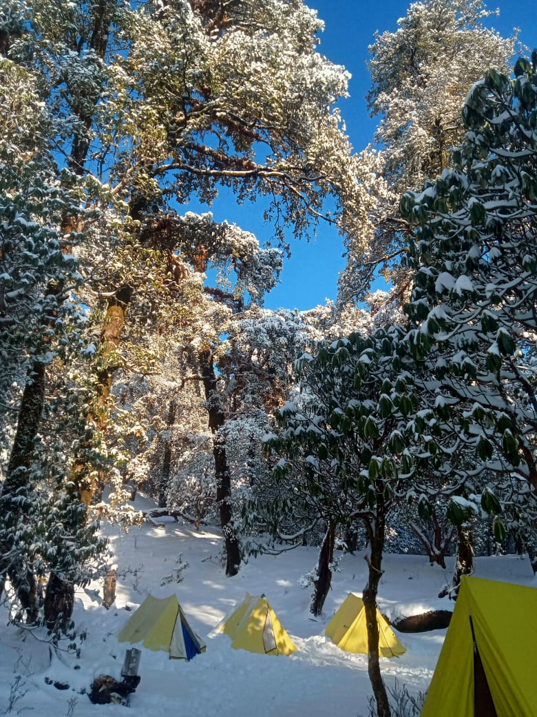 Himalayas garhwal trekking - Himalayas garhwal trekking, Rookund Marg, Ambedakar Nagar, Wan, Uttarakhand 246427, India