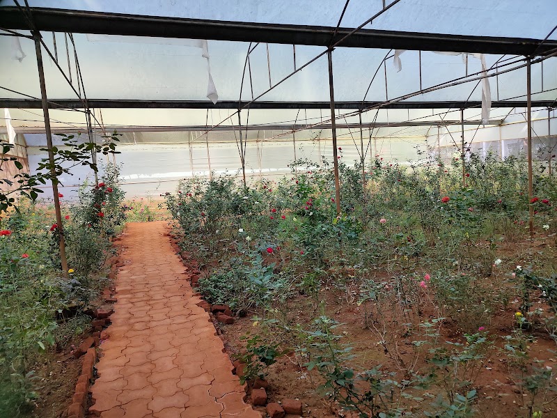 Yelagiri - Nature Park - Yelagiri - Nature Park Punganur, Yelagiri, Tamil Nadu 635853, India