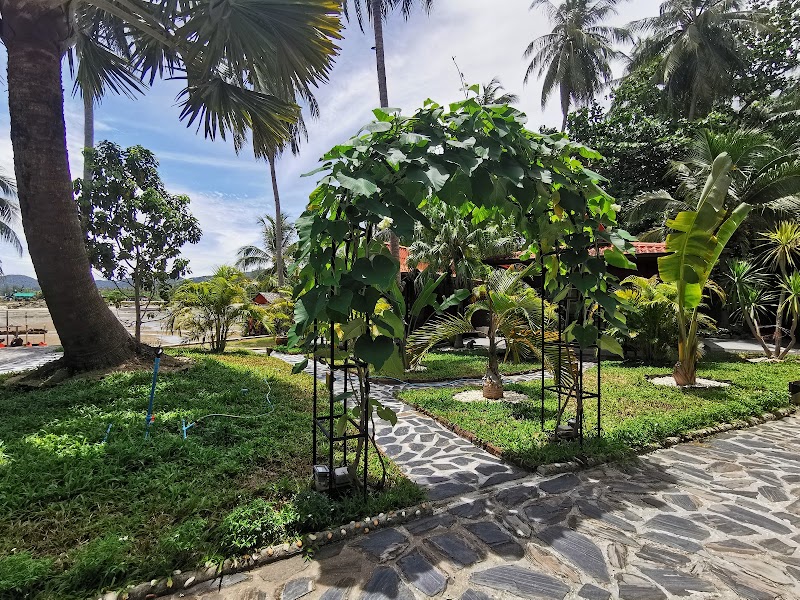 Cyana Beach Resort - Cyana Beach Resort, 32/3 Moo 4 Woktum Koh Phangan Koh Phangan, ตำบลเกาะพะงัน อำเภอเกาะพะงัน สุราษฎร์ธานี 84280, Thailand