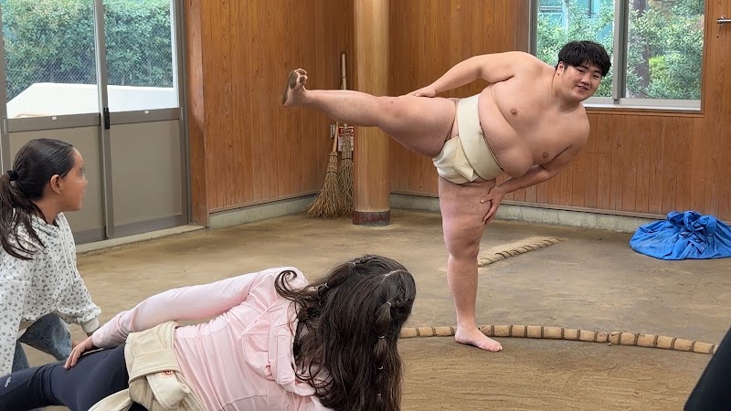 Sumo! Sumo! Sumo! Sumo Experience Tokyo - Sumo! Sumo! Sumo! Sumo Experience Tokyo, Japan, 〒143-0005 Tokyo, Ota City, Heiwanomorikōen, 2−１ 相撲場