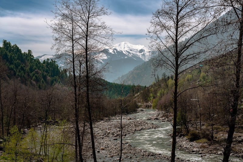 The Saltbox Manali - The Saltbox Manali, village Manasari , P.o haripur, Manali, Soil, Himachal Pradesh 175136, India