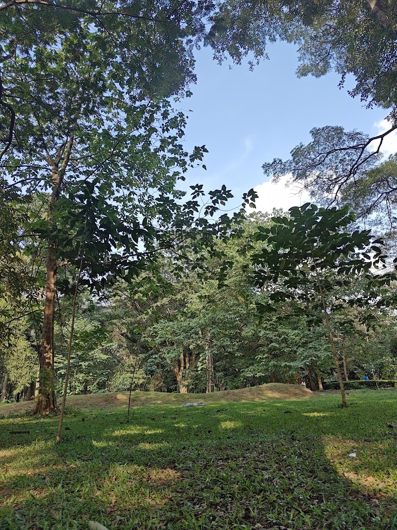 Ring wood circle cubbon park - Ring wood circle cubbon park Cubbon Park Rd, Nunegundlapalli, Ambedkar Veedhi, XHFR+QG3, Nunegundlapalli, Sampangi Rama Nagara, Bengaluru, Karnataka 560001, India
