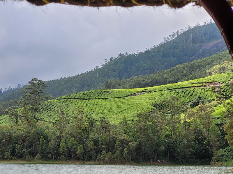 Sunmount View Hotel - Sunmount View Hotel, 2nd Mile, Pallivasal Estate, Munnar, Kerala 685565, India