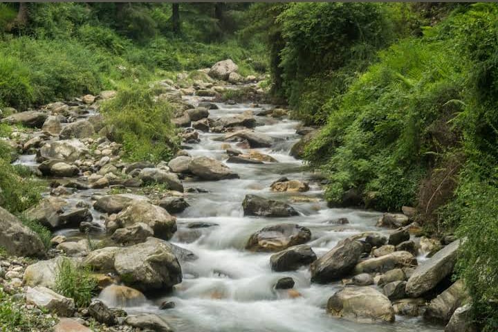 Gushaini Retreat - Gushaini Retreat Jhabrandhi, Himachal Pradesh 175123, India