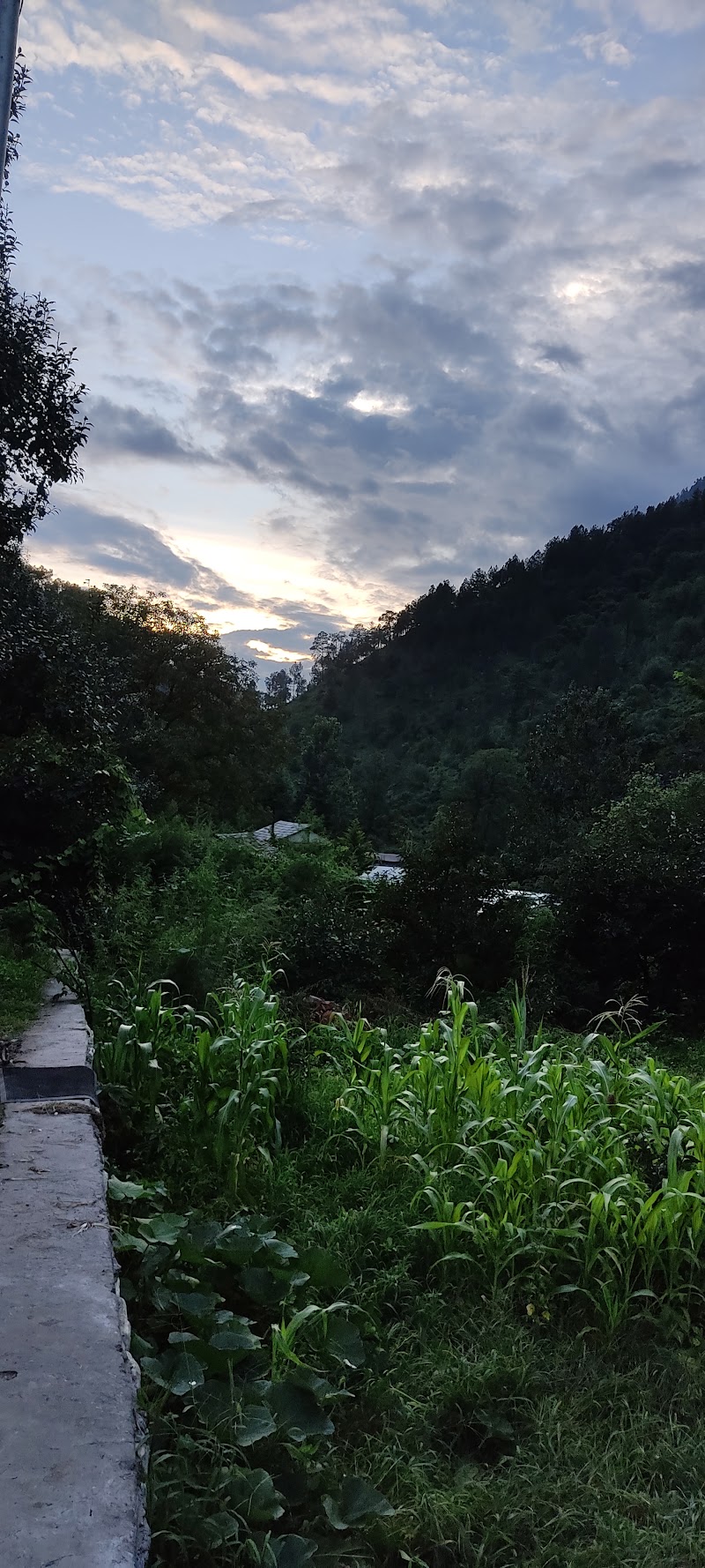 Nature's Paradise tirthan - The Pahadi Ghar || Boutique Stay in Tirthan Valley - Nature's Paradise tirthan - The Pahadi Ghar || Boutique Stay in Tirthan Valley Tirthan valley, Jibhi, Pekhri, Himachal Pradesh 175123, India