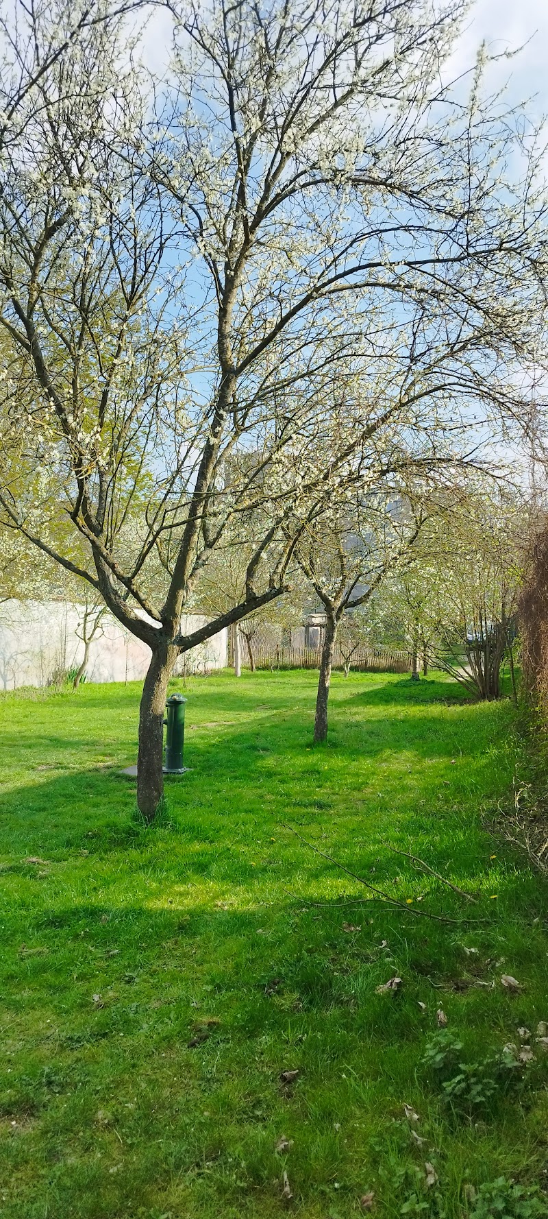 partage Garden - partage Garden, 75 Rue Pierre de Montreuil, 93100 Montreuil, France