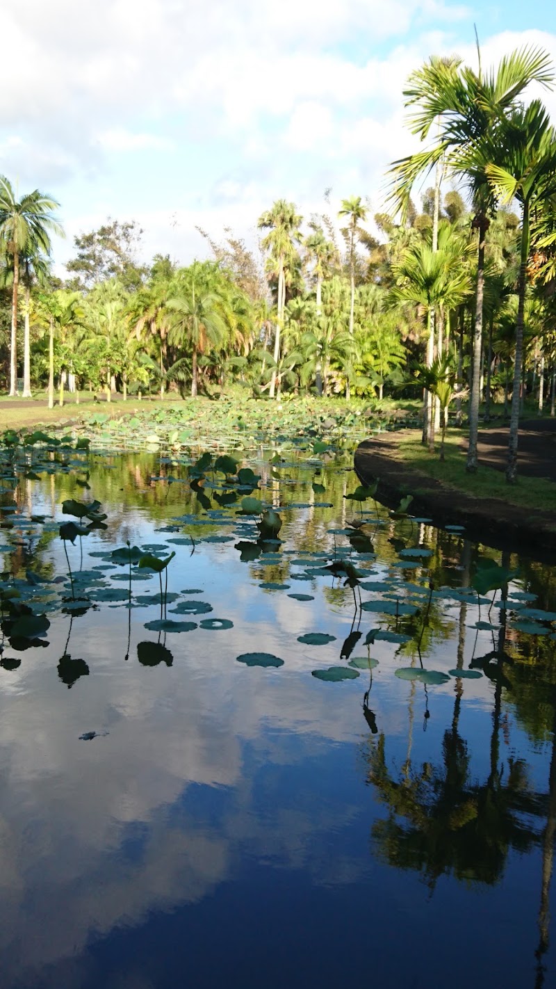 Pamplemousses - Pamplemousses, Mauritius