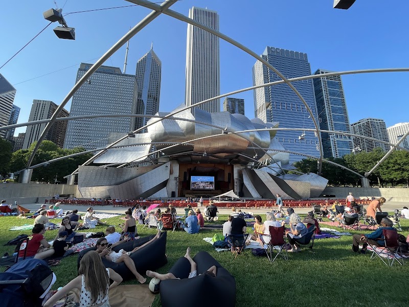 Millennium Park - Millennium Park Chicago, IL 60602, USA