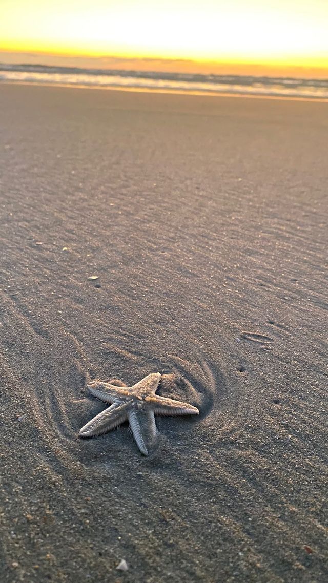 Betalbatim Beach - Betalbatim Beach Betalbatim Beach, Goa, India