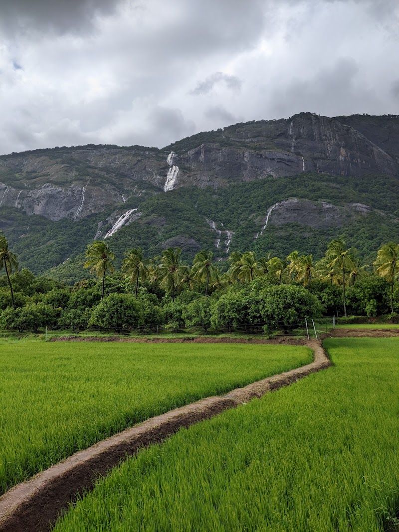 Kerala Tourism Information - Kerala Tourism Information, Kumaranellur, Kerala 679552, India