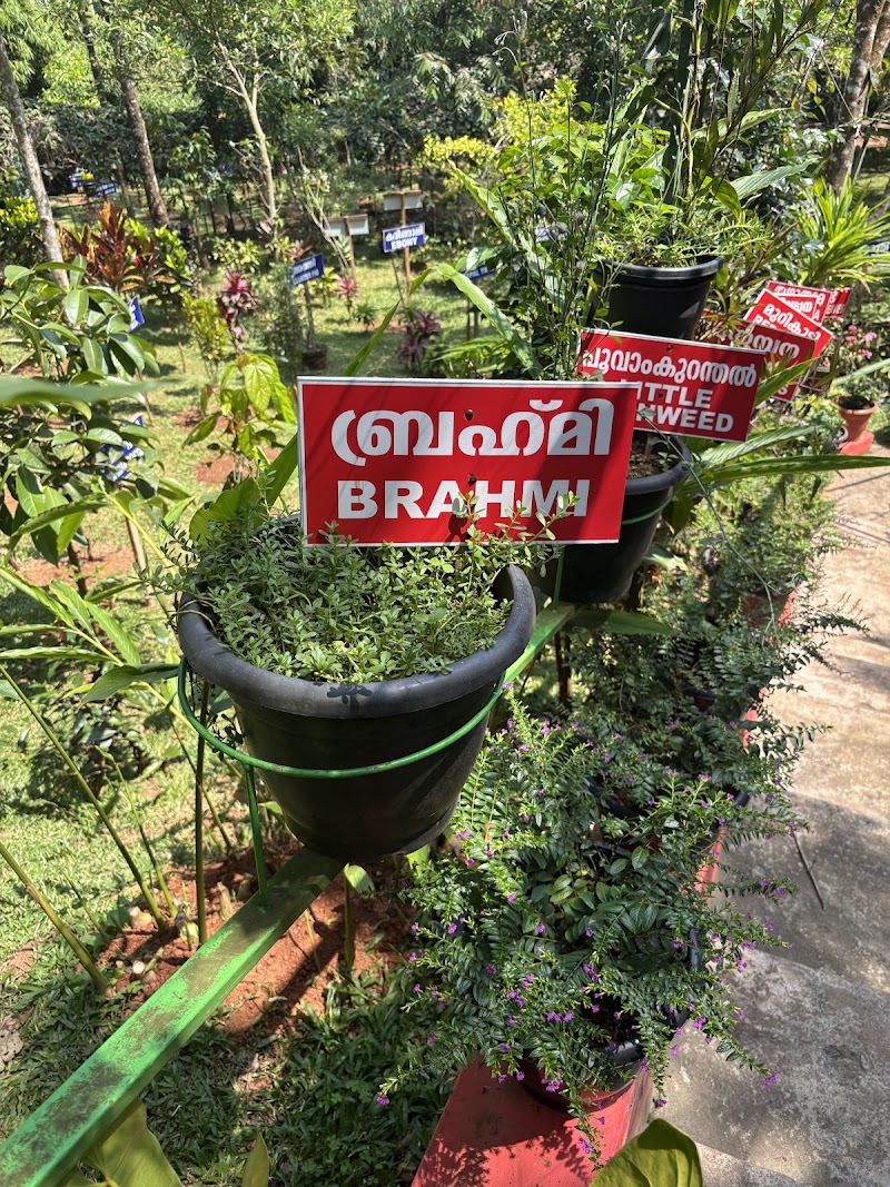 Chasam Ayurvedic & Spices Garden - Chasam Ayurvedic & Spices Garden Vythiri -Tharuvana Rd, Vythiri, Kunnathidavaka, Kerala 673576, India