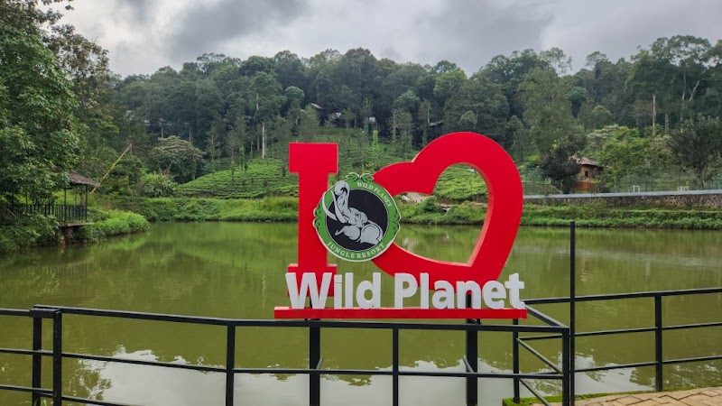 Wild Planet Jungle Resort - Wild Planet Jungle Resort Between Wayanad Hills & Mudumalai Tiger Reserve, Devala, Kerala 679333, India