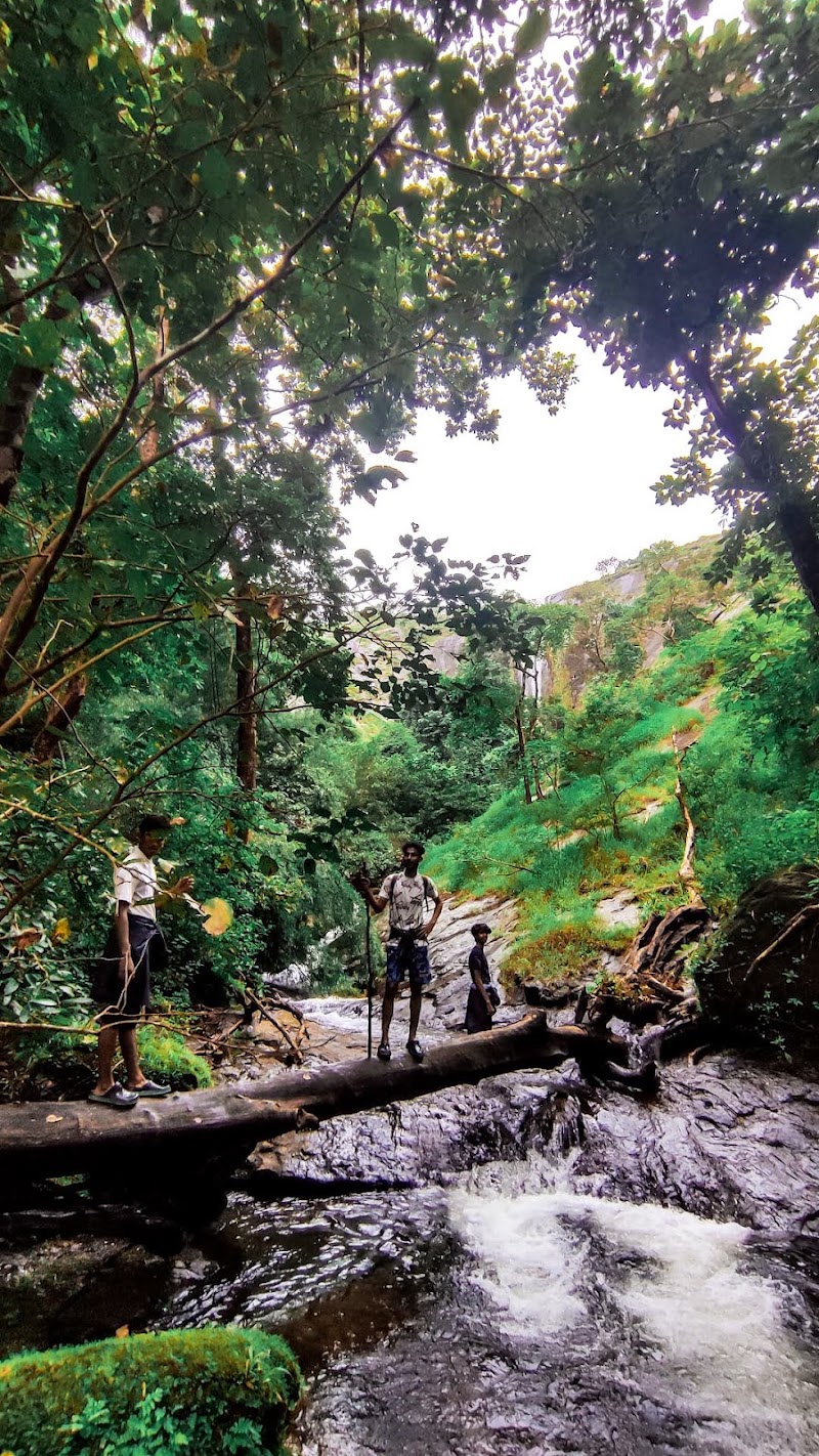 Kothamangalam - Kothamangalam, Kerala, India