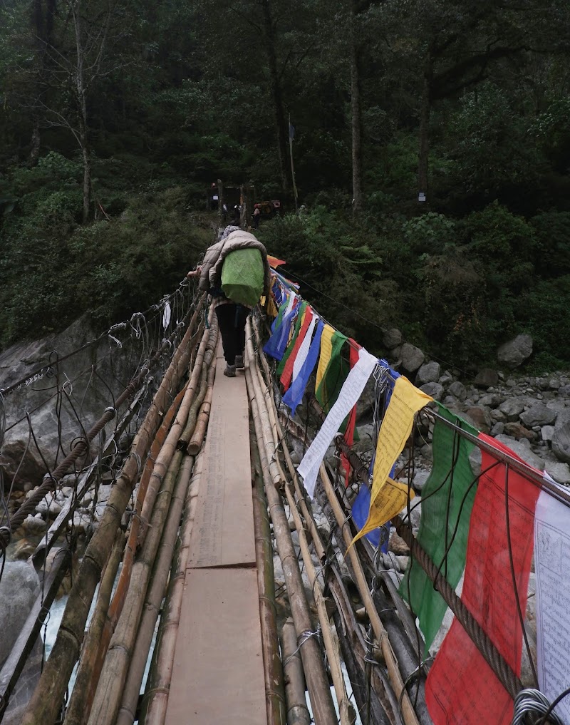 Tag Along Trips - Tag Along Trips Tag Along Backpackers, Development Area, beside Punjab & Sindh Bank, Gangtok, Sikkim 737101, India
