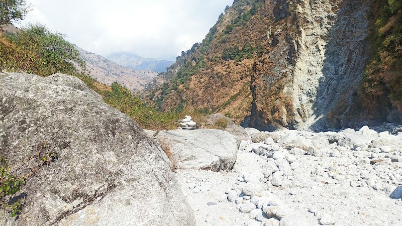 Solitude Cafe - Solitude Cafe, Unnamed Road, Surari, Nachhar, Palampur, Lolani, Himachal Pradesh 176061, India