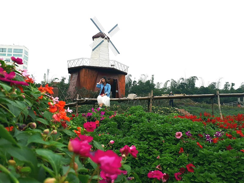 Thung lũng hoa hồ Tây - Thung lũng hoa hồ Tây, Ngã 3 P. Nhật Chiêu, Tây Hồ, Hà Nội, Vietnam