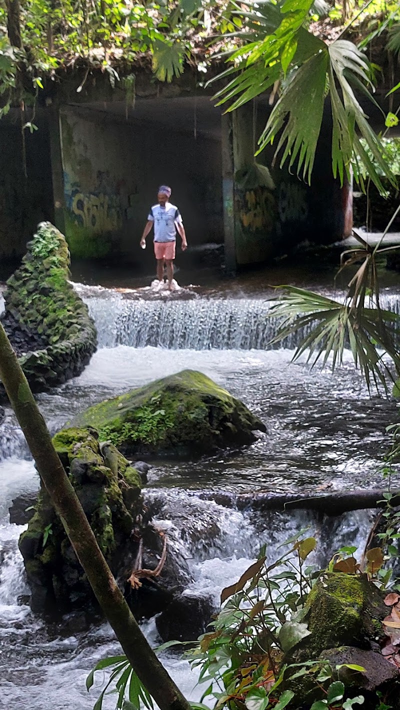 El Choyin - El Choyin, F7QG+CH4, Alajuela Province, La Fortuna, Costa Rica