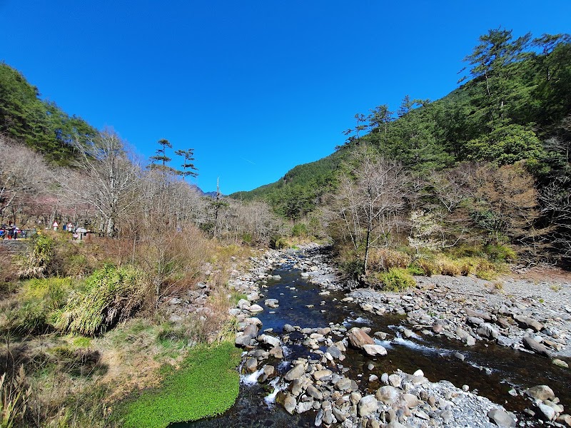 Wuling Farm - Wuling Farm No. 3-1號, Wuling Rd, Pingdeng Village, Heping District, Taichung City, Taiwan 42495