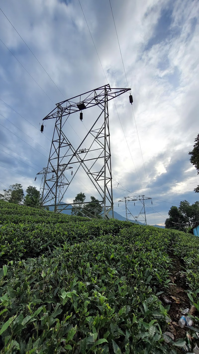 Pothamedu - Pothamedu Ottamaram, Road, Bison Valley, Munnar, Kerala 685565, India