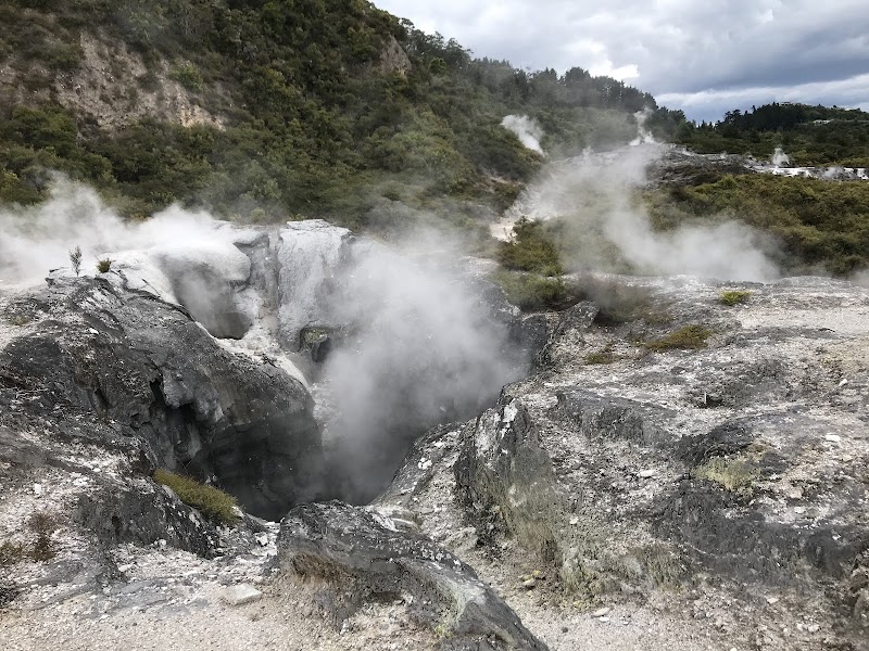 Pohutu Geyser - Pohutu Geyser 20 Hemo Road, Rotorua 3010, New Zealand