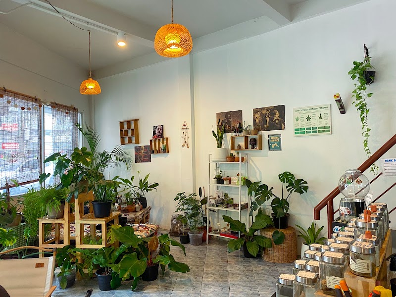 Y Si Dispensary - Y Si Dispensary, Soi Phueng Suk, Khwaeng Phra Khanong Nuea, Watthana, Krung Thep Maha Nakhon 10110, Thailand