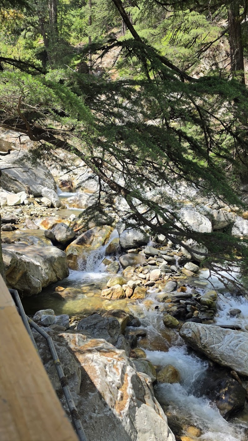 Bradhi Resort - Bradhi Resort near, near Jibhi, Ghiyagi, Himachal Pradesh 175123, India