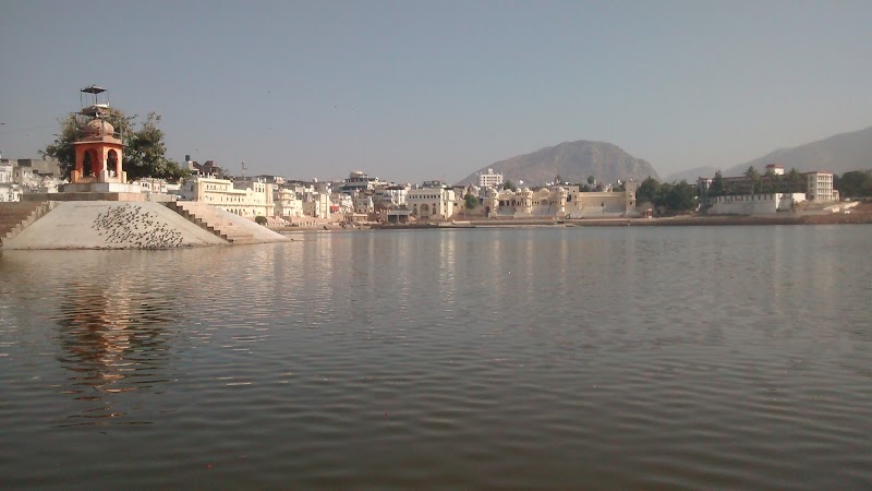 Pushkar Adventure Camp & Desert Camel Safari - Pushkar Adventure Camp & Desert Camel Safari, Office Address - Plot No. 20,Vinayak-C,Near Petrol Pump ,Pushkar 305022 +91 9828178063, Pushkar, Rajasthan 305022, India