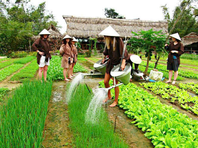I am a farmer - Tam Coc (Hands-onExperience) - I am a farmer - Tam Coc (Hands-onExperience), Xóm Hang Đùng, Đội 1 Văn Lâm, Nam Hoa Lư, Ninh Bình, Vietnam
