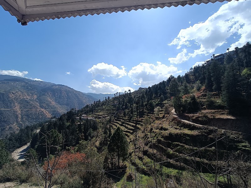 Sunrise View Farm-stay Narkanda - Sunrise View Farm-stay Narkanda Village Bai, Kumarsain, Himachal Pradesh 172029, India