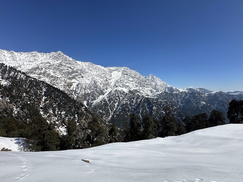Triund Trek - Triund Trek Trail to Triund Hill, Dharamshala, Himachal Pradesh 176216, India