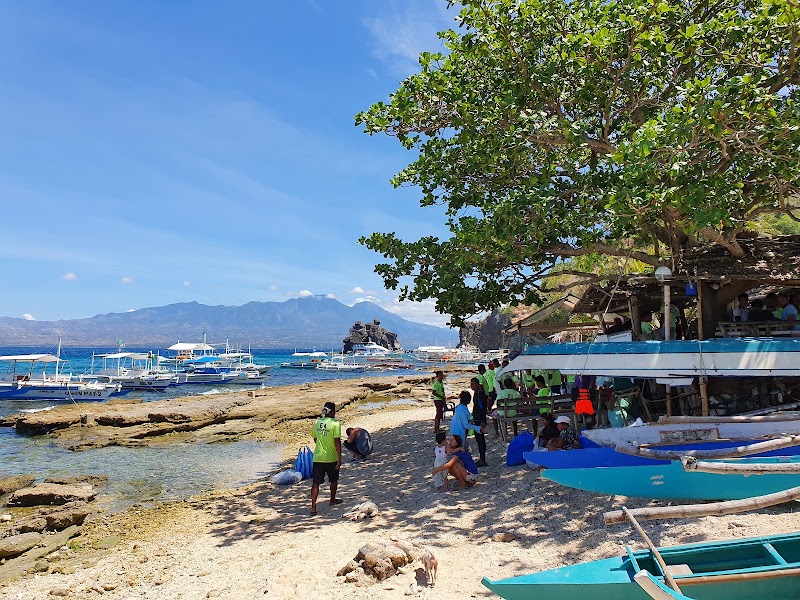 Apo Island - Apo Island, Dauin, Negros Oriental, Philippines