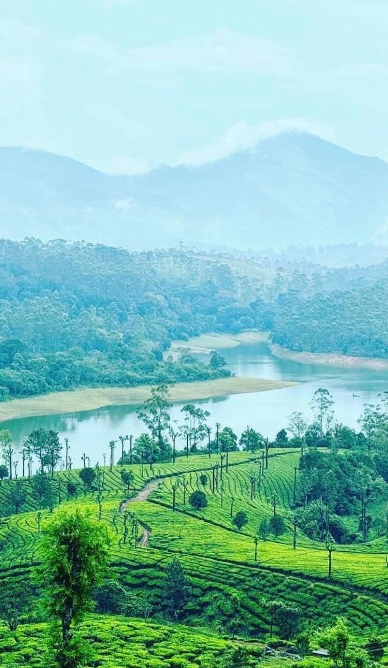 Munnar travel expert cabs - Munnar travel expert cabs Munnar Bypass, Anachal, Kerala 685565, India