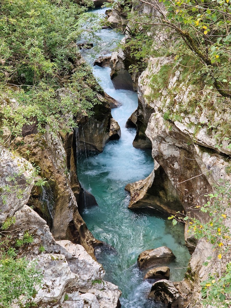 Soča - Soča Soča