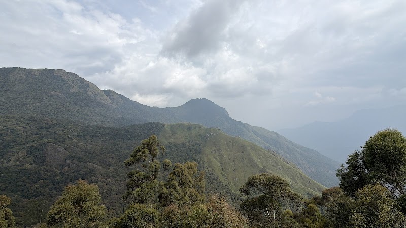 Munnar travel expert cabs - Munnar travel expert cabs Munnar Bypass, Anachal, Kerala 685565, India