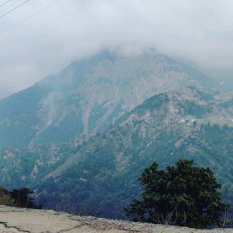 Naddi Road - Naddi Road, Naddi Rd, Naddi, Dharamshala, Himachal Pradesh 176216, India