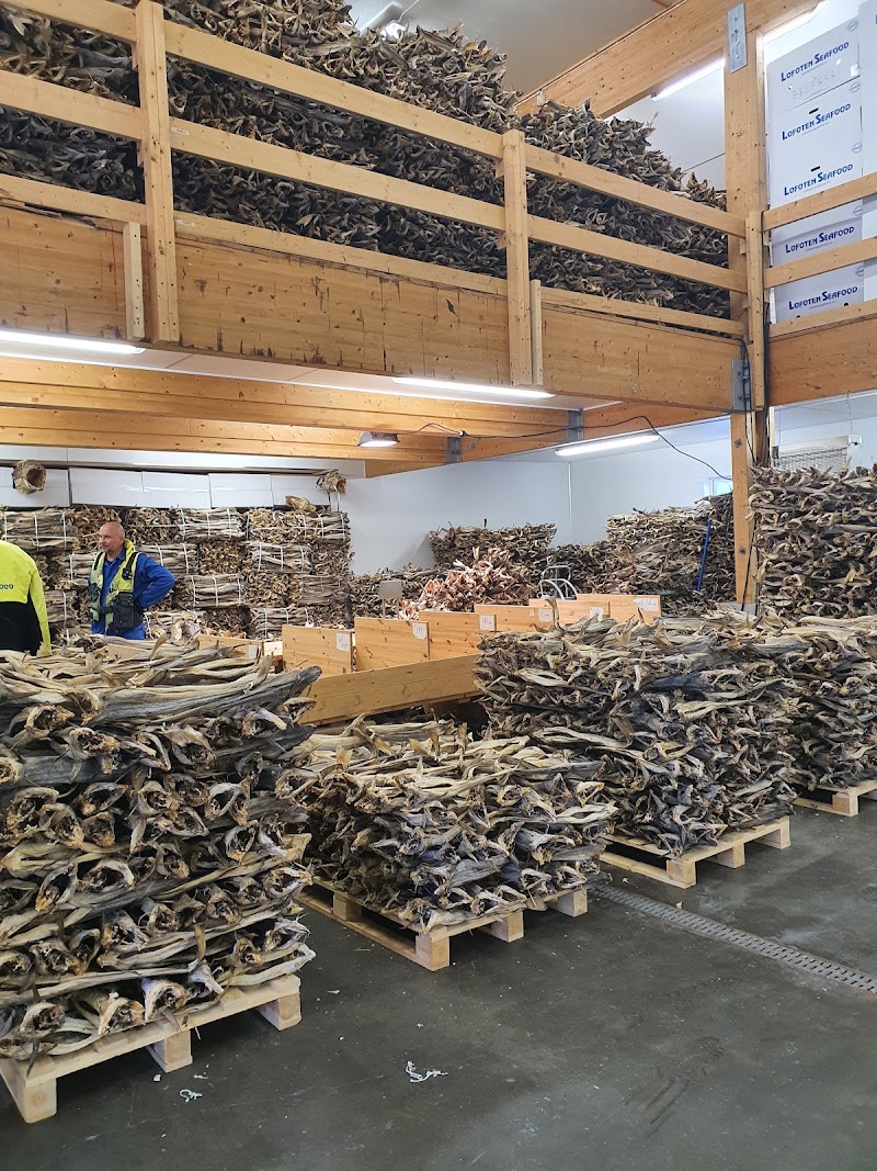 Lofoten Seafood Center - Lofoten Seafood Center, Mortsundveien 379, 8370 Leknes, Norway