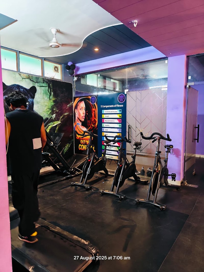 The panthers gym - The panthers gym P-106, Uppal Southend, Sector 48, Gurugram, Haryana 122018, India