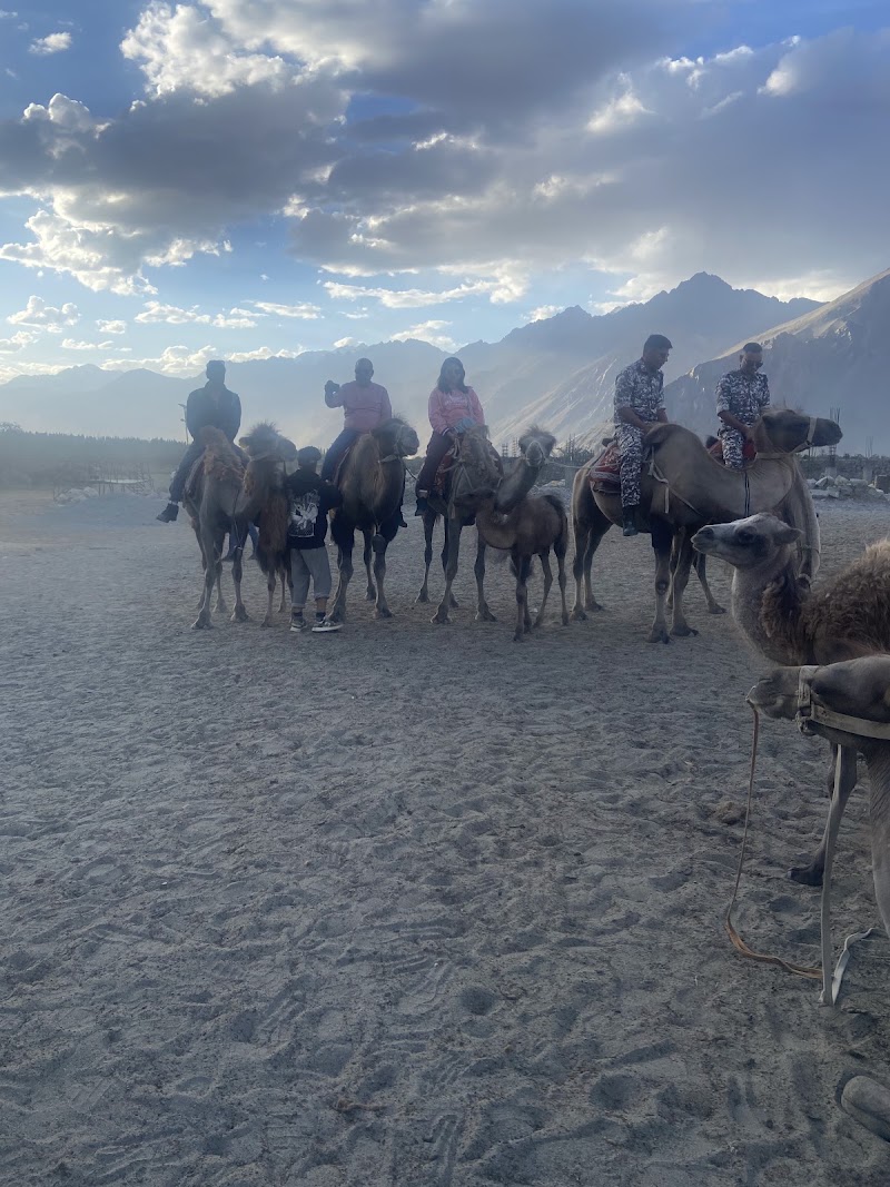 Hunder ,Nubra Leh Ladakh - Hunder ,Nubra Leh Ladakh HFHM+F4P, Hunder, 194401