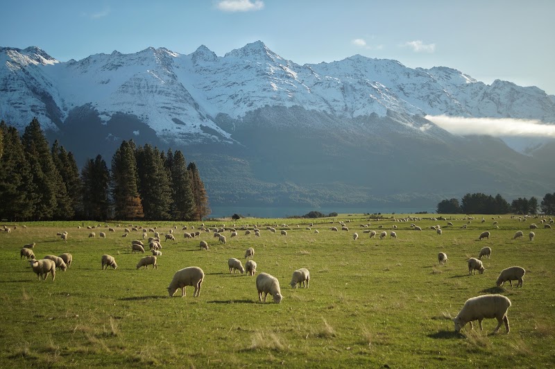 Glenorchy-Paradise Road - Glenorchy-Paradise Road, Otago Region 9372, New Zealand