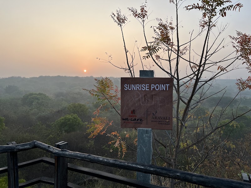 Sunrise point - Sunrise point S-11/7, DLF Phase 3, Sector 24, Gurugram, Haryana 122010, India