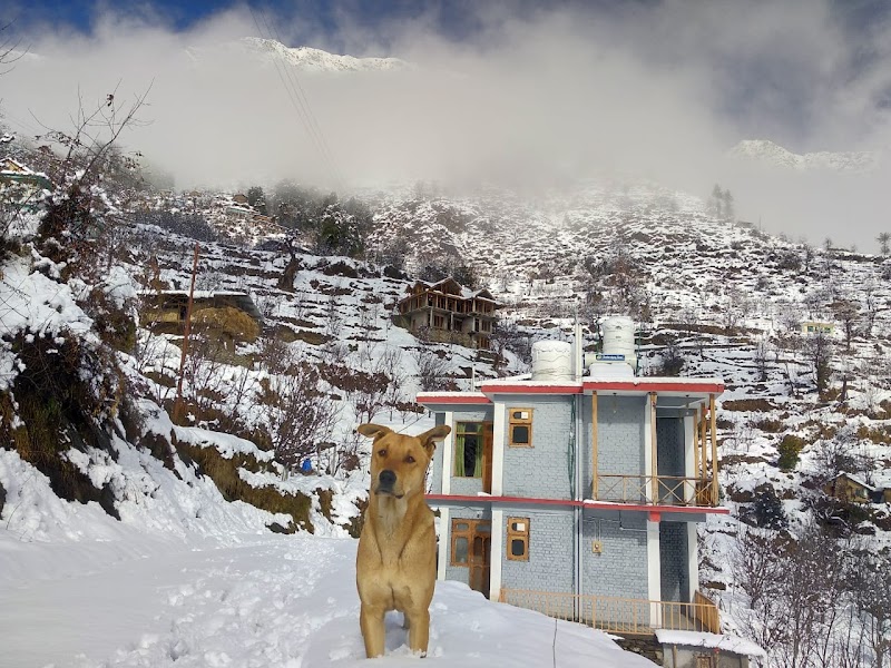 Apple Blush Retreat - Apple Blush Retreat, Village Pekhri, Goshaini, Banjar, Tindar, Himachal Pradesh 175123, India