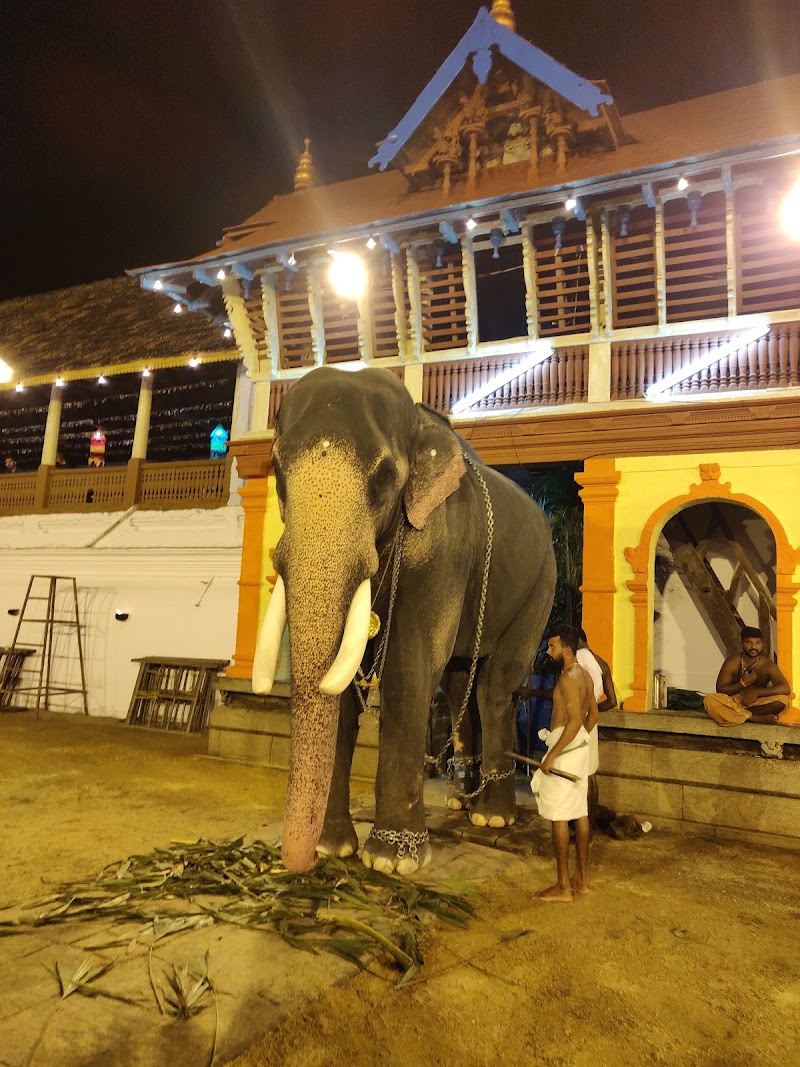 Sree Poornathrayeesa Temple Thrippunithura - Sree Poornathrayeesa Temple Thrippunithura Poornathrayeesa temple, Kottakakom, Thrippunithura, Kochi, Kerala 682301, India