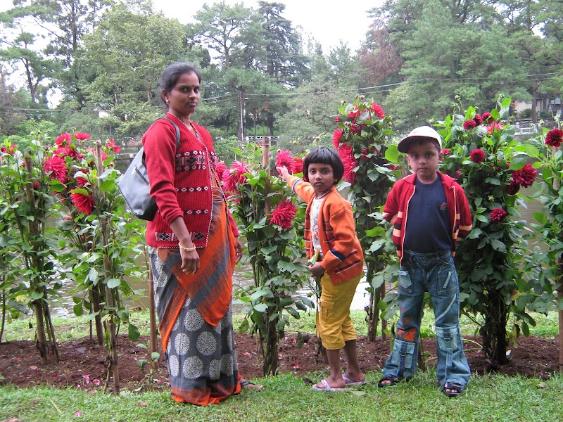 Lumparing Greenery Children Park - Lumparing Greenery Children Park HV5J+XJ9, Lumparing, Shillong, Meghalaya 793004, India