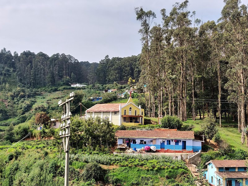 Fern Hill - Fern Hill Fern Hill, Ooty, Tamil Nadu, India