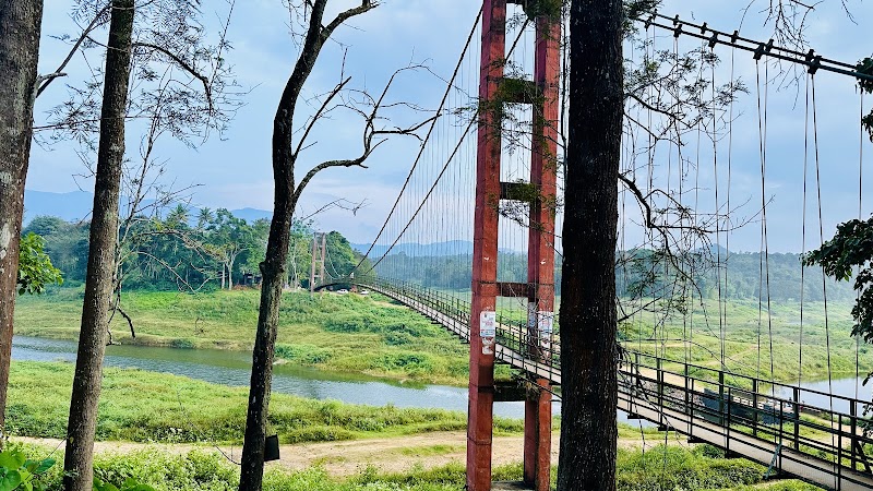Ayyapancovil Hanging Bridge - Ayyapancovil Hanging Bridge P28M+M8C, Mattukatta, Ayyappancoil, Kerala 685511, India