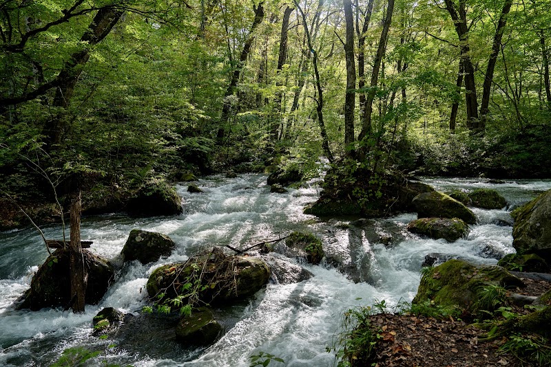 Oirase River