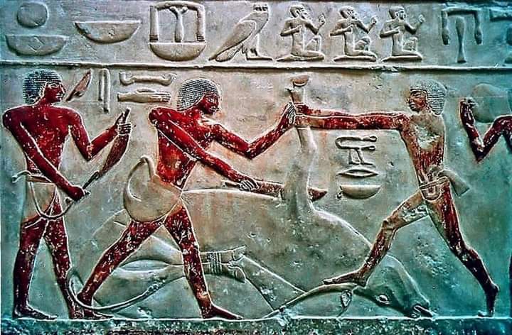 Saqqara Pyramid - Saqqara Pyramid, Badrshein, Giza Governorate 3352001, Egypt
