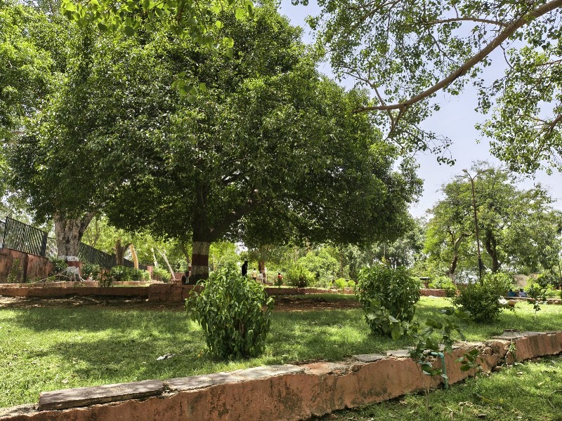 Bhitriyakund park - Bhitriyakund park 5R49+55W, Shivpura, Kota, Rajasthan 324009, India